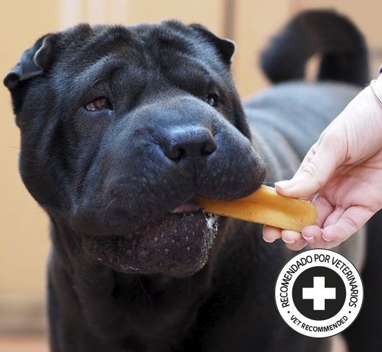 porque-Churpi4-esp Churpi Natural Dog Snack