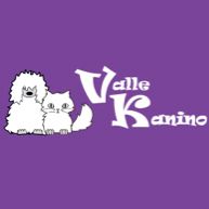 VALLE KANINO