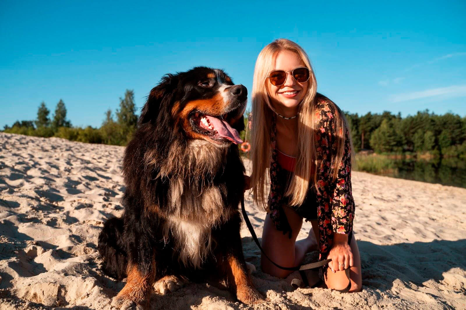Proteger a tu Perro del Calor de Verano