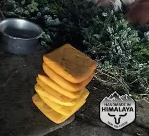 origen en las montañas del Himalaya