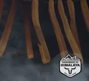 premios masticables únicos