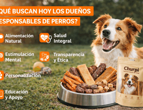 ¿Qué buscan hoy los dueños responsables de perros?